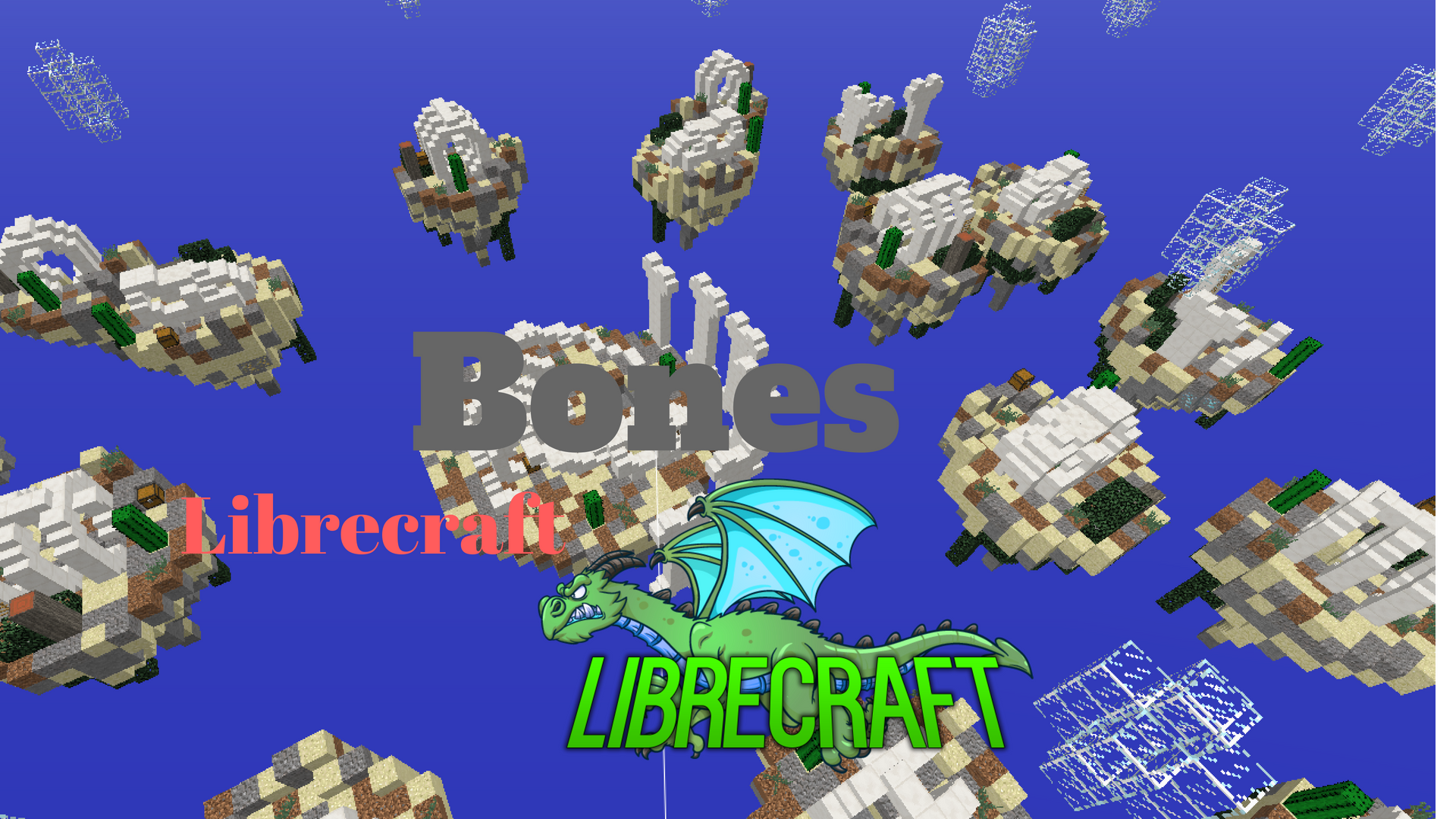 bones.png