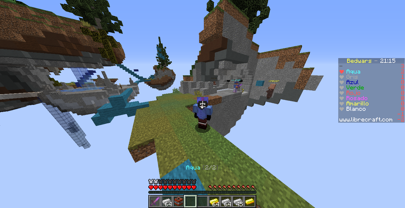 bug.PNG