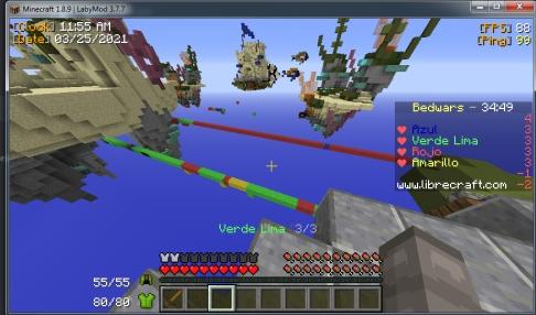 Bug sala bedwars 02.jpg