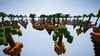 2019-05-10_00.59.35.png