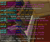 sopita.png