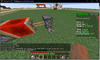 Foto Minecraft.png