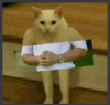 empresario.png