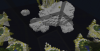 Angelic.png